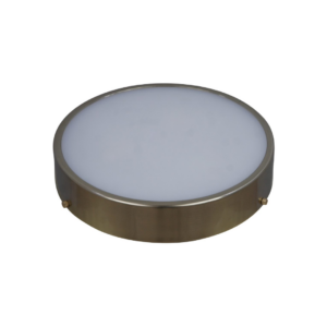 Ceiling Lamp