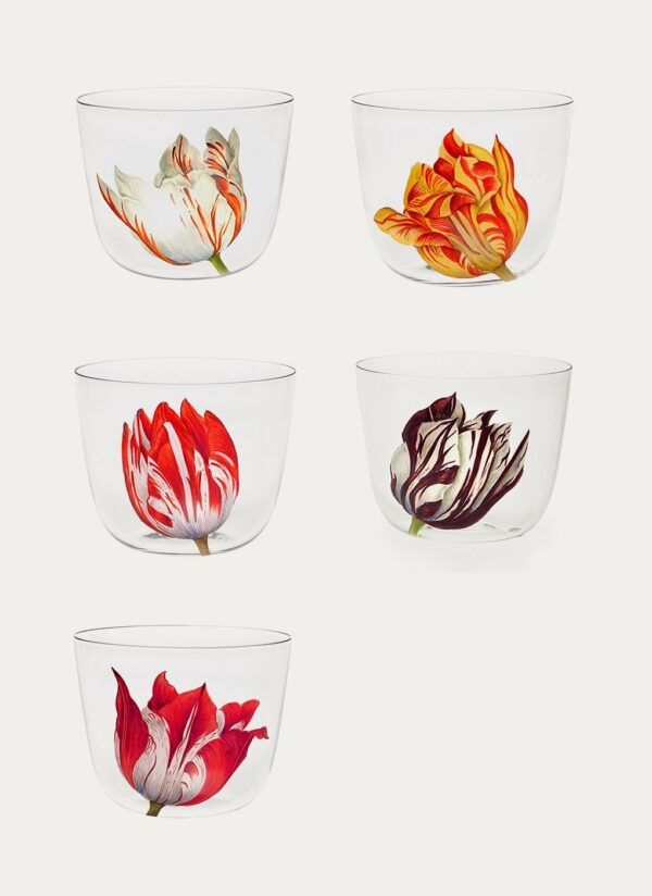 Alpha Tulipmania Drinking Set