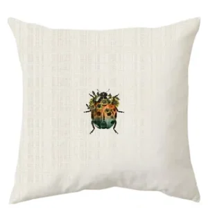 The Ladybird Cushion