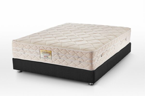 Pocket Cotton Mattress