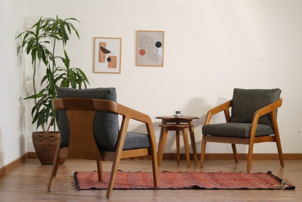 OLI - Wood Armchair with a leather back