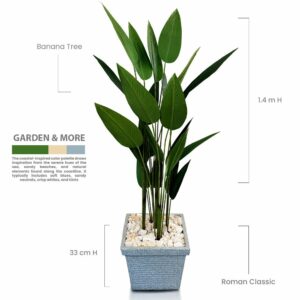 Banana Tree