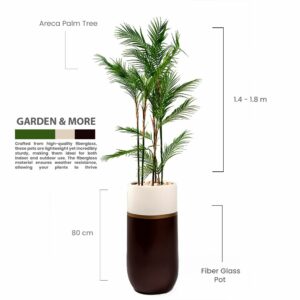Areca Palm Tree - H: 78 cm W:34cm