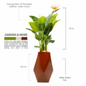 Orange bird of Paradise