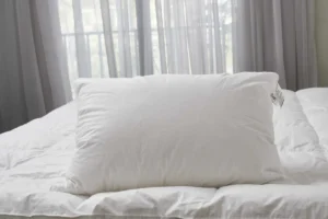 the super fluffy Goose Feather Pillow (German quality)
