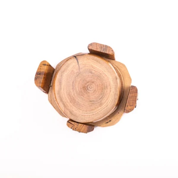 Coasters (5-in-1) | Small