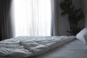Winter  duvet