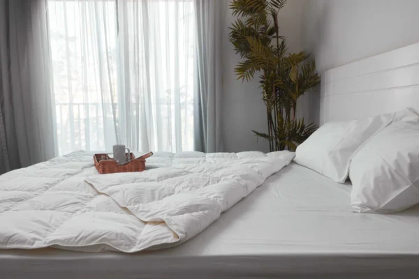 Winter  duvet