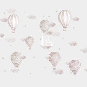 The Air Balloons