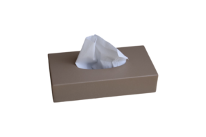 Minimalistic metal tissue box (Beige)