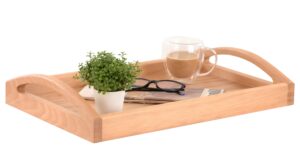 Shizen Tray