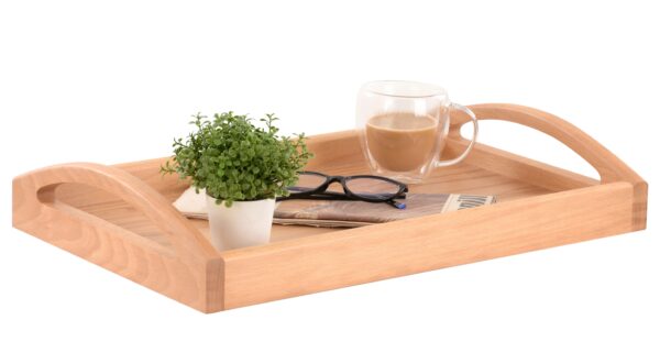 Shizen Tray