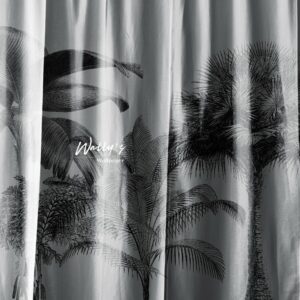 The Curtain