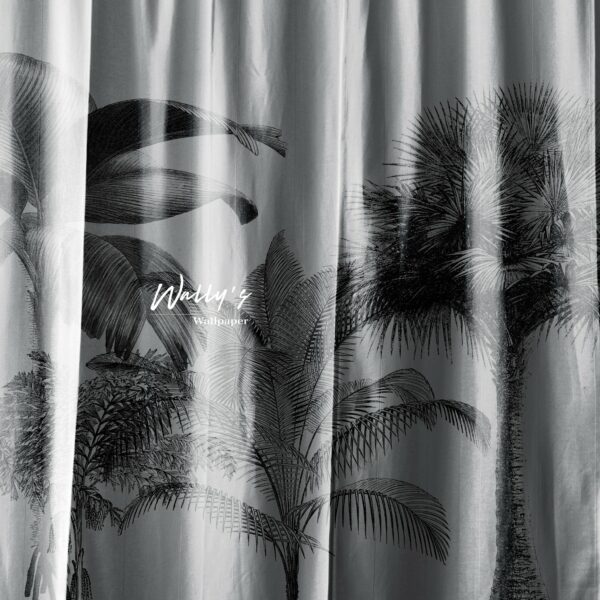 The Curtain