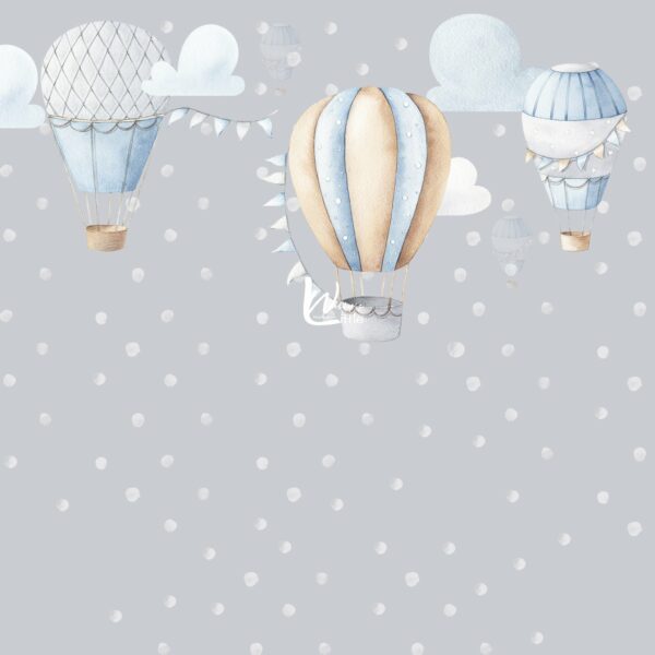 The Air Balloons