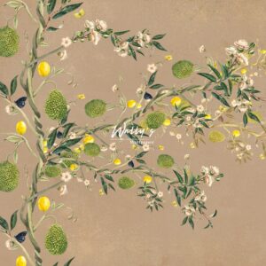 The Lemon Tree