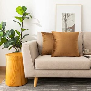 Soft Thick Velvet Throw Pillow Covers Decorative Square Cushion Cover - 40 x 40 CM, Café