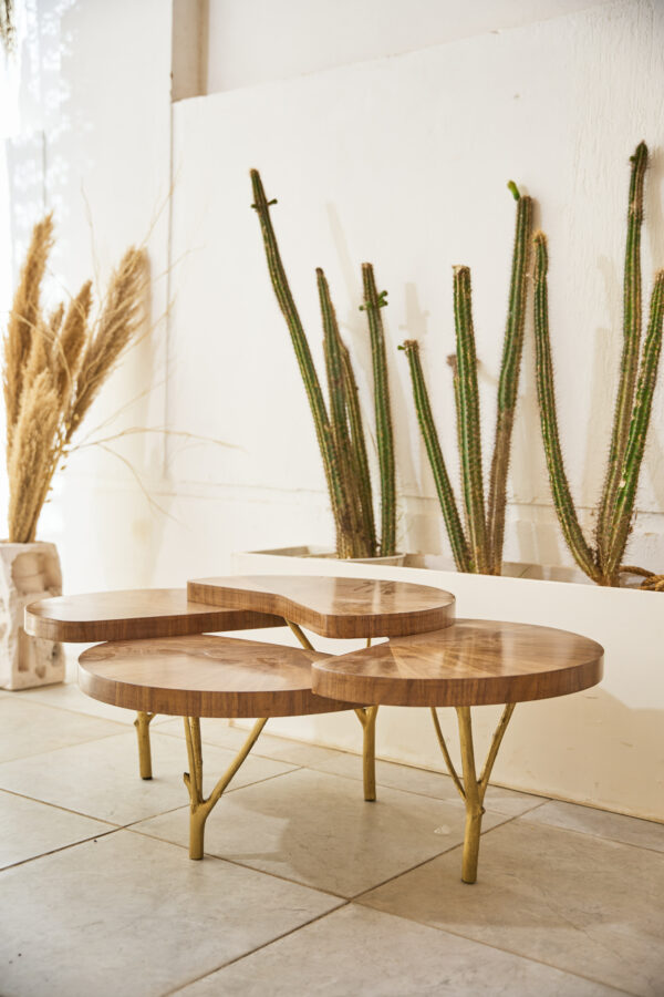 the tree trunk coffee table