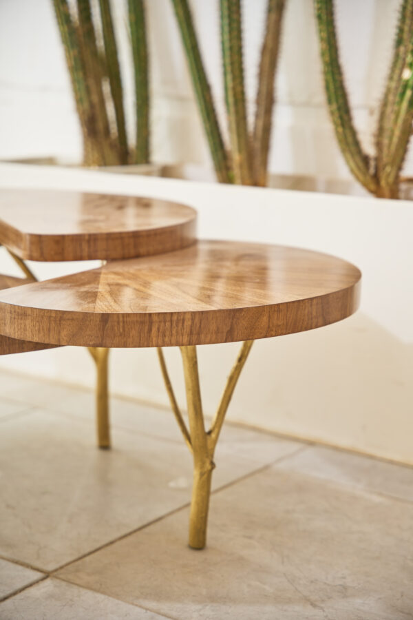 the tree trunk coffee table