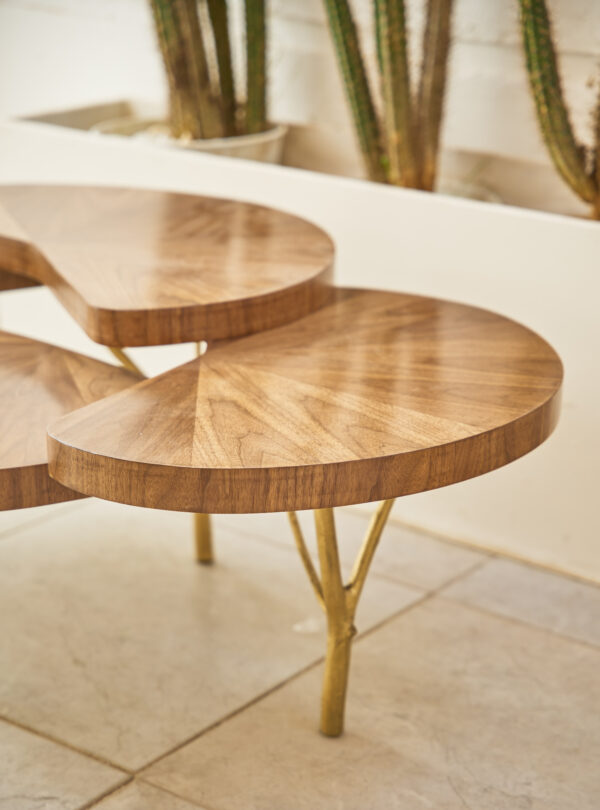 the tree trunk coffee table