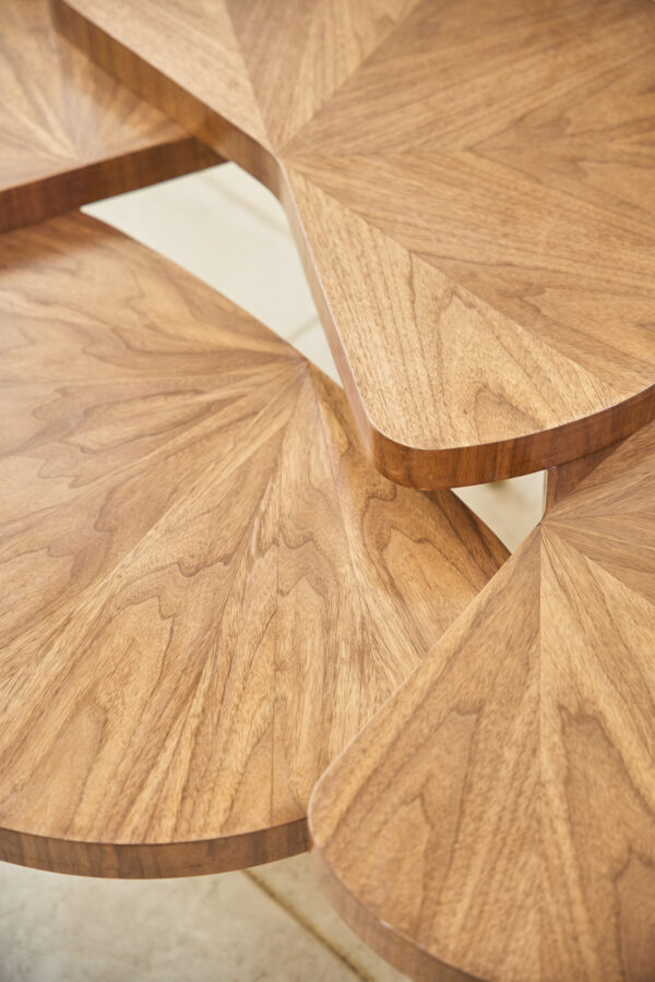 the tree trunk coffee table