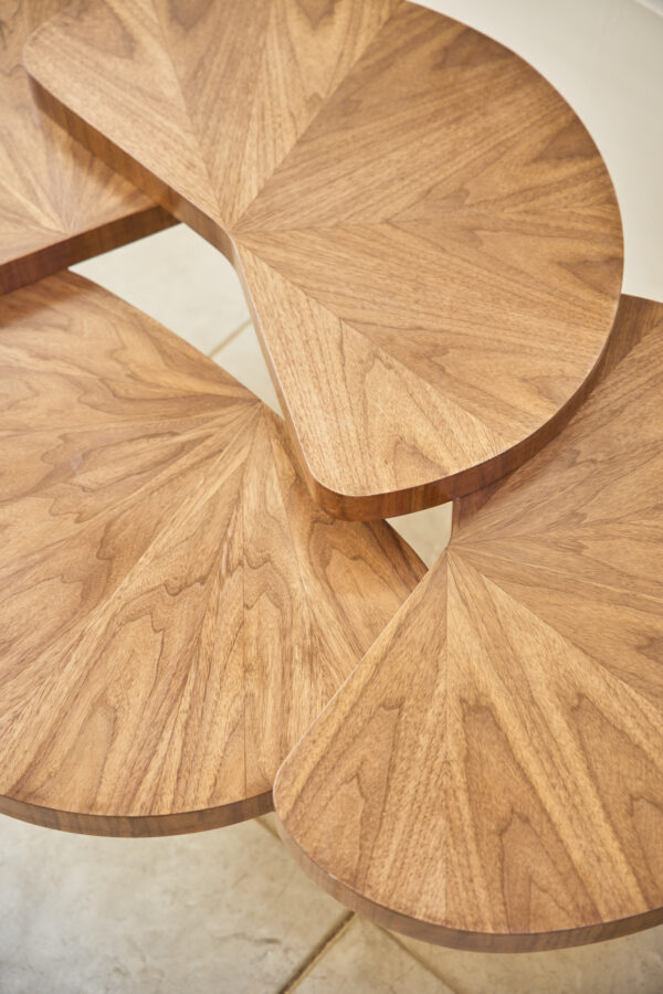 the tree trunk coffee table