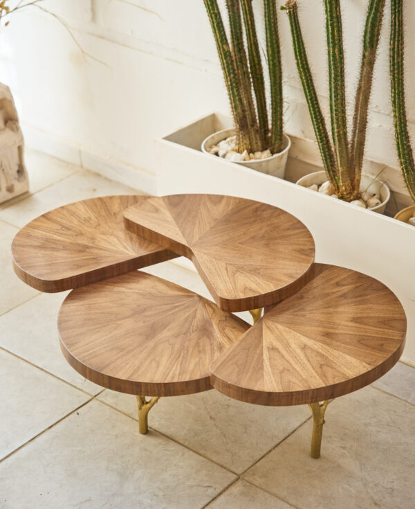 the tree trunk coffee table