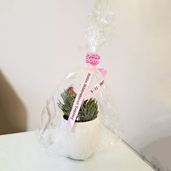 Aqiqah set