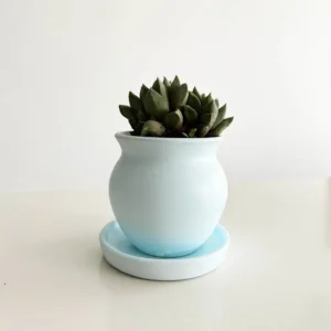 Ocean Mist