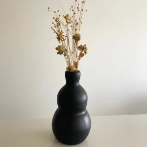 Black elegance vase