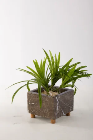 Flower Pot with Wood Support INS-017 - Brown
