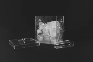 Ice holder with cover
