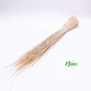 Palm leaves - Fine bundle