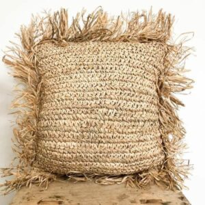 The Dilemma Cushion