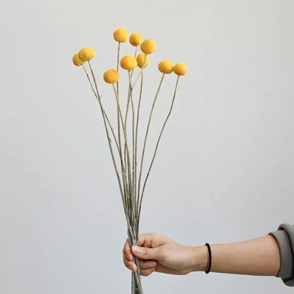 Yellow Balls Flowers