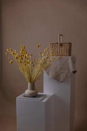 Yellow Dried Phalaris
