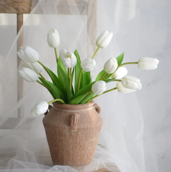 Tulip Flowers