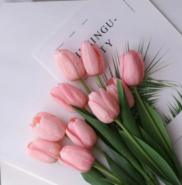 Tulip Flowers