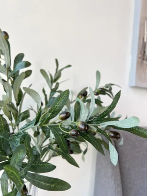 Silcon Olive