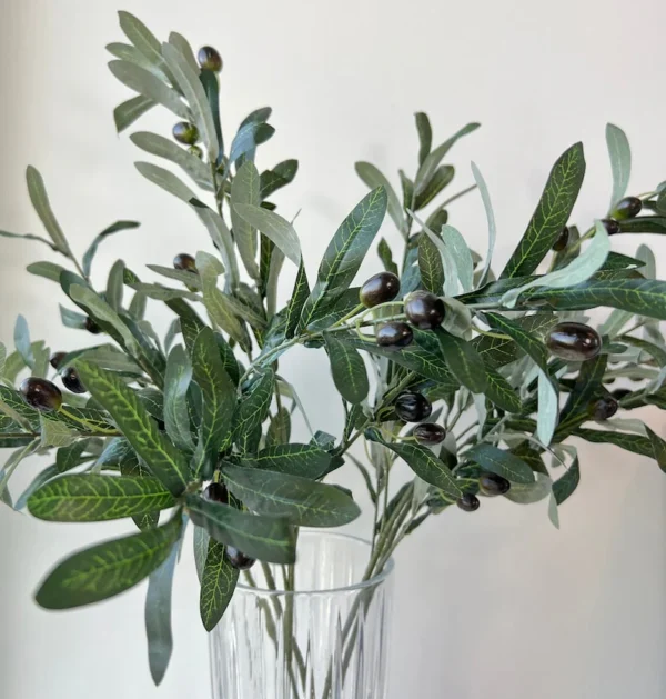 Silcon Olive