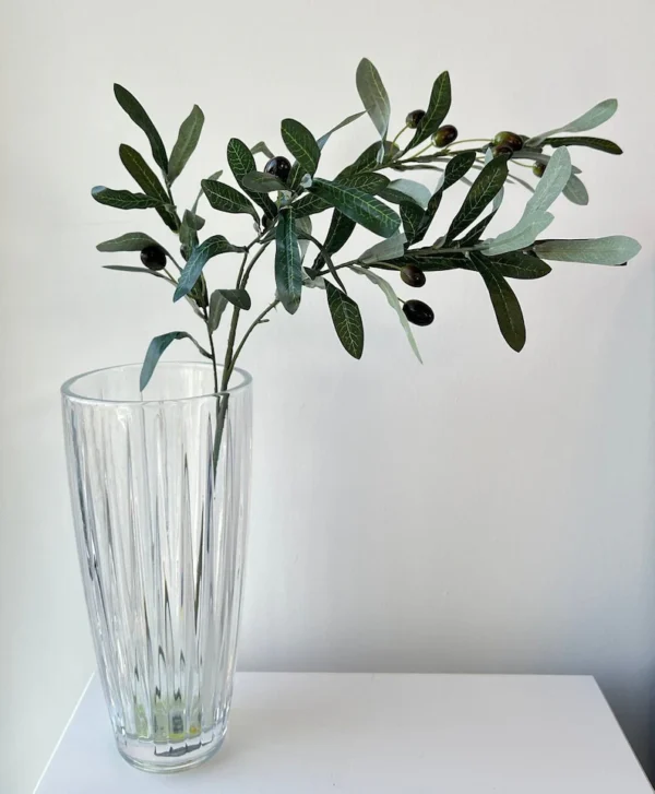Silcon Olive