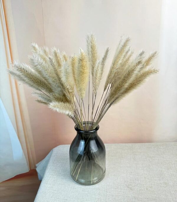 Cat Tails Dried Flowers