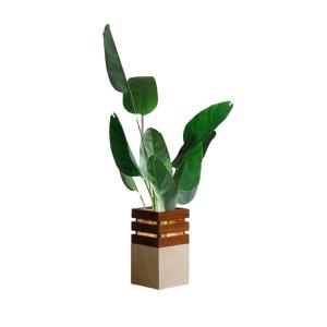 Planter Pot (Ivory Leaf)