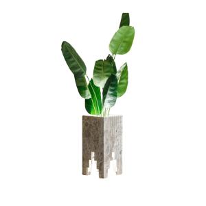 Planter Pot (Regal Flora)