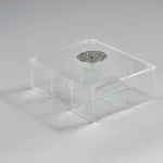 Plated 6-compartment box