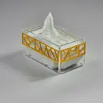 Irregular Tissue Box