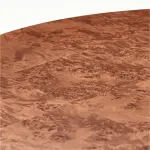 Burl Rotating Coffee Table by Jannis Ellenberger