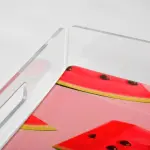 Watermelon Printed tray