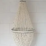 Conchas Chandelier