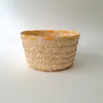 Colored Snacks Plate